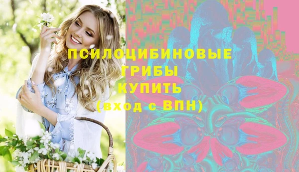 spice Касимов
