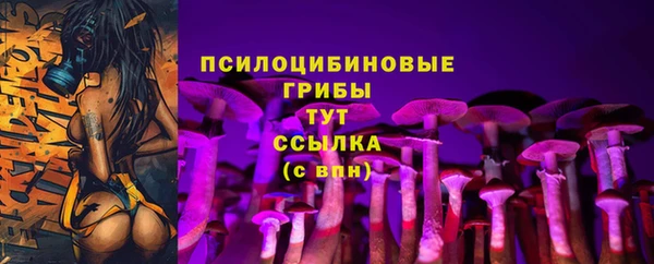 spice Касимов