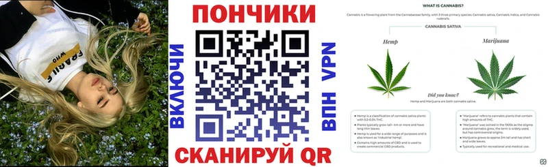 Купить где  Кубинка  Каннабис MAZAR 